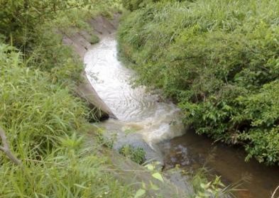 polluted-streams-to-healthy-eco-zones-before